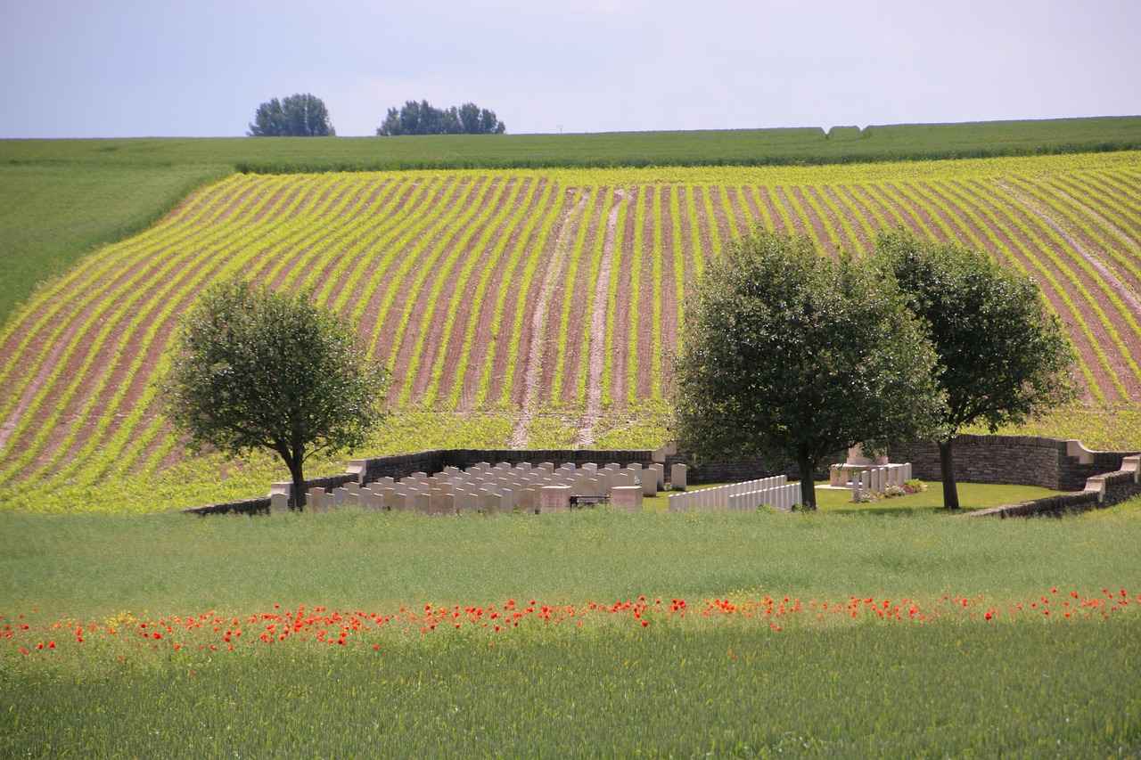 Kann eine Einigung ohne Gerichtsverfahren erzielt werden? 2 Vorteile der außergerichtlichen Einigung