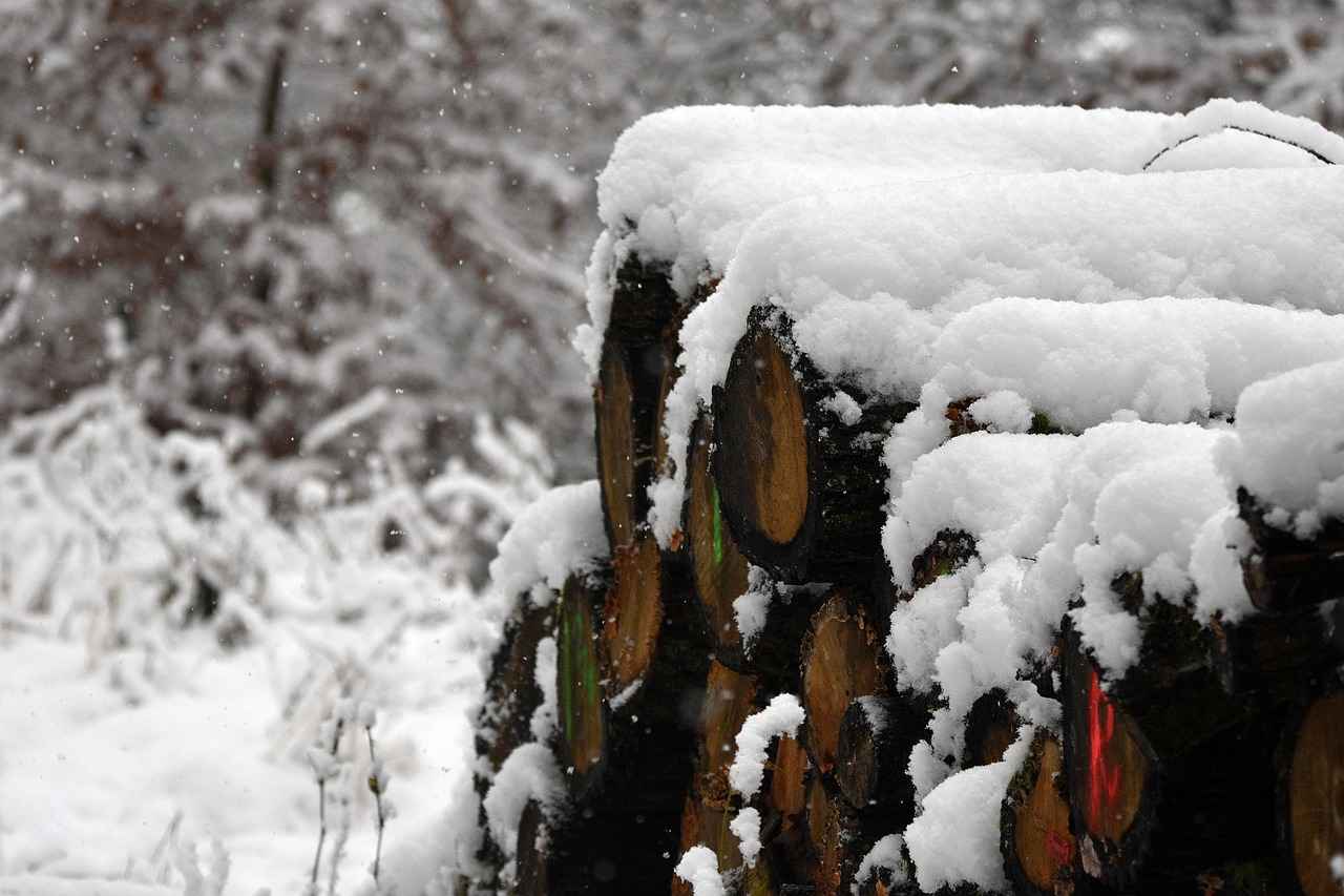 Kann ich eine rechtliche Angelegenheit durch eine selbst verfasste Klageschrift einreichen? 4 Wie verfasst man eine Klageschrift?
