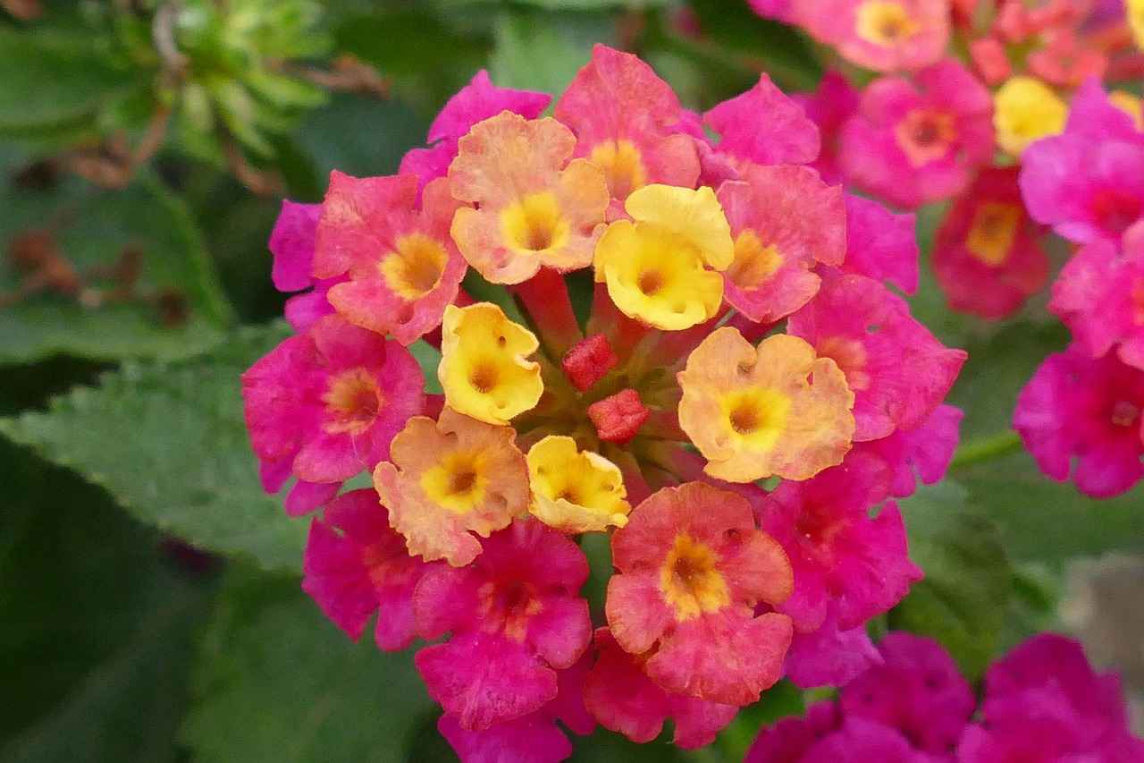 Kann ich meinen Anwalt während eines laufenden Verfahrens wechseln? 4 Kosten und Gebühren beim Wechsel des Anwalts