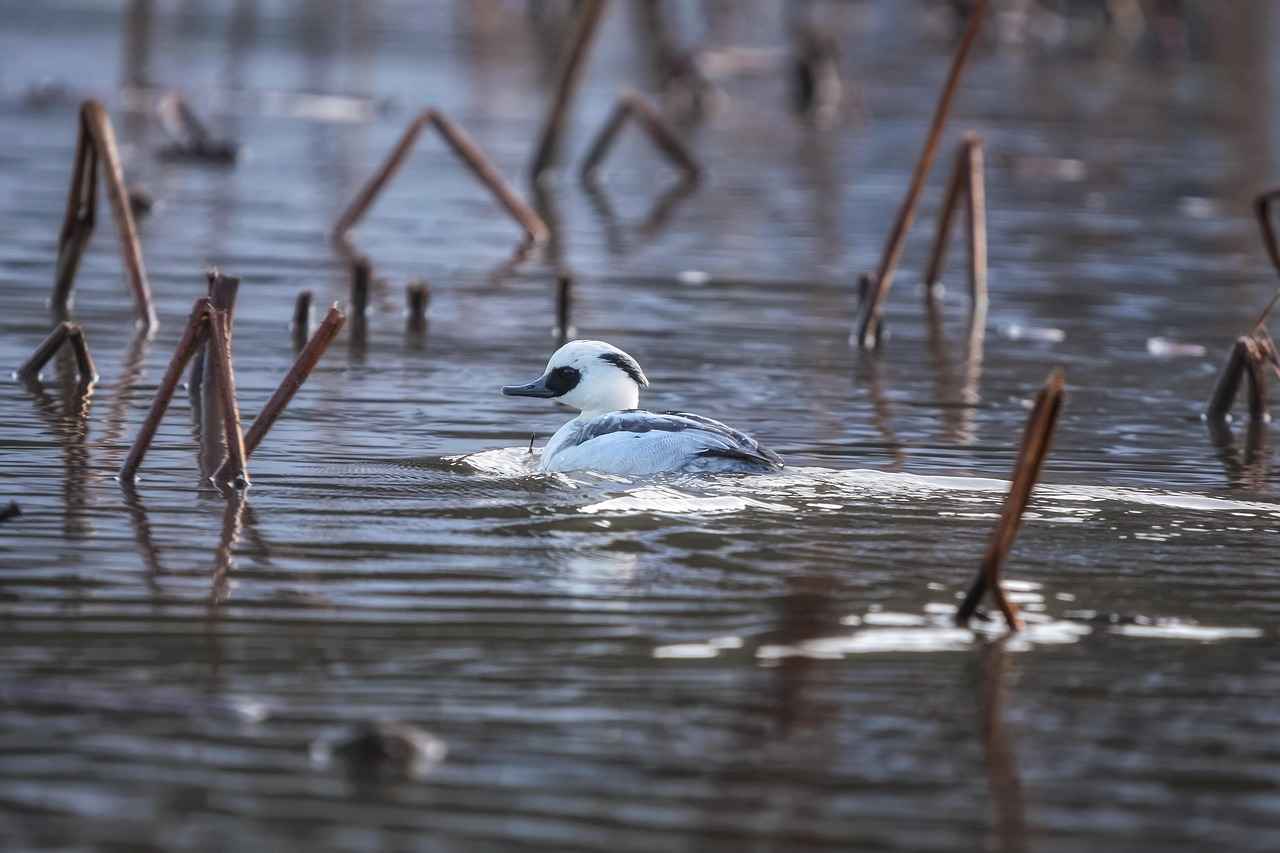 Kann ich Schadenersatz für mangelhafte Dienstleistungen fordern? 5 Was tun bei mangelhaften Dienstleistungen?