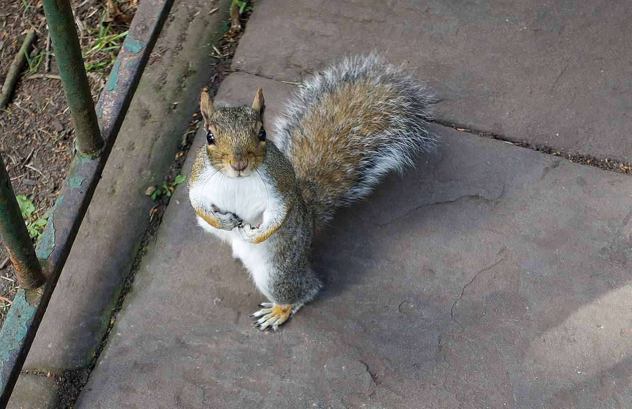 Fazit: Schulden und Freiheit