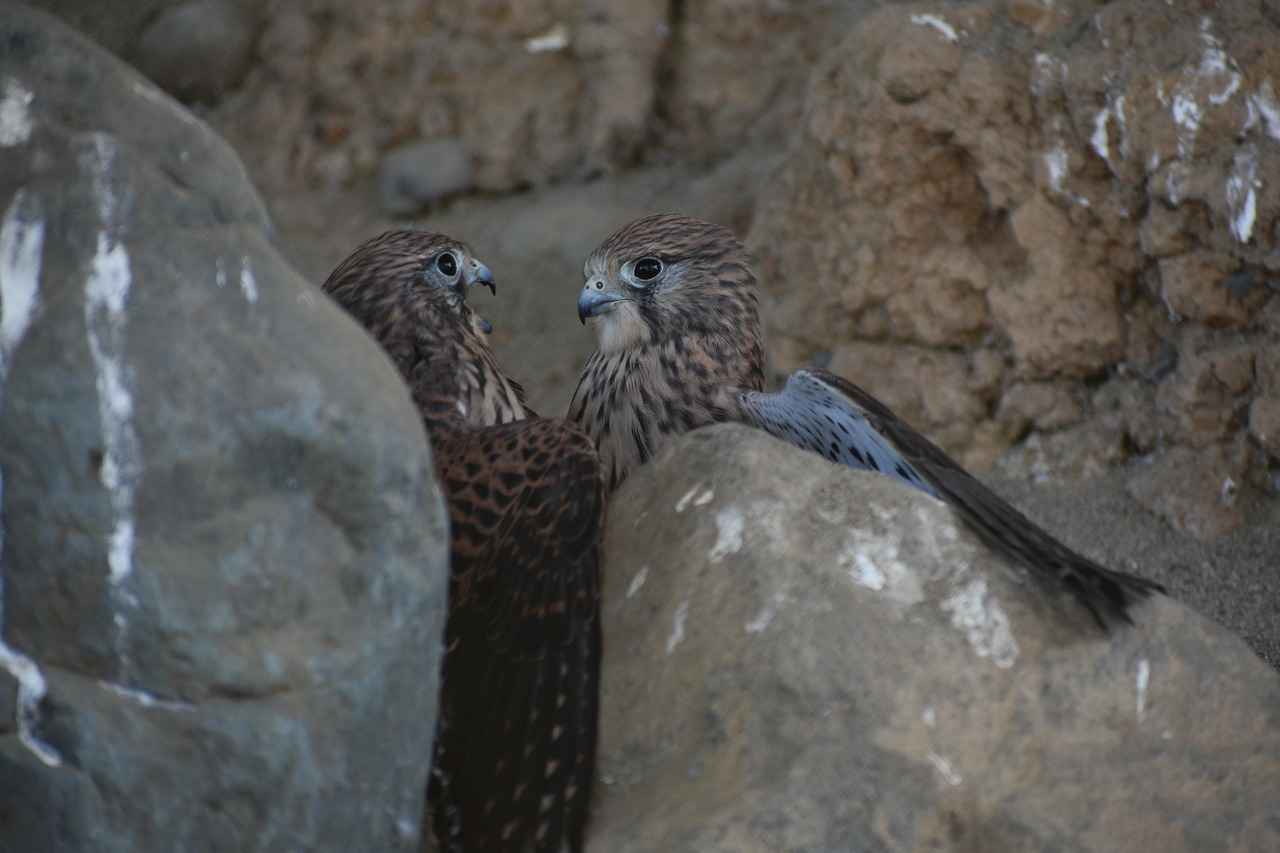 Wann ist ein Ausschluss gerechtfertigt?