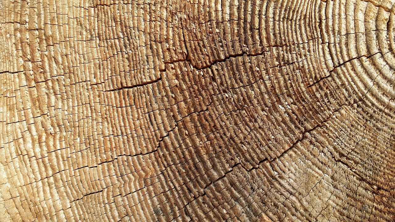 Wie lange habe ich Zeit, um eine Rechnung anzufechten?