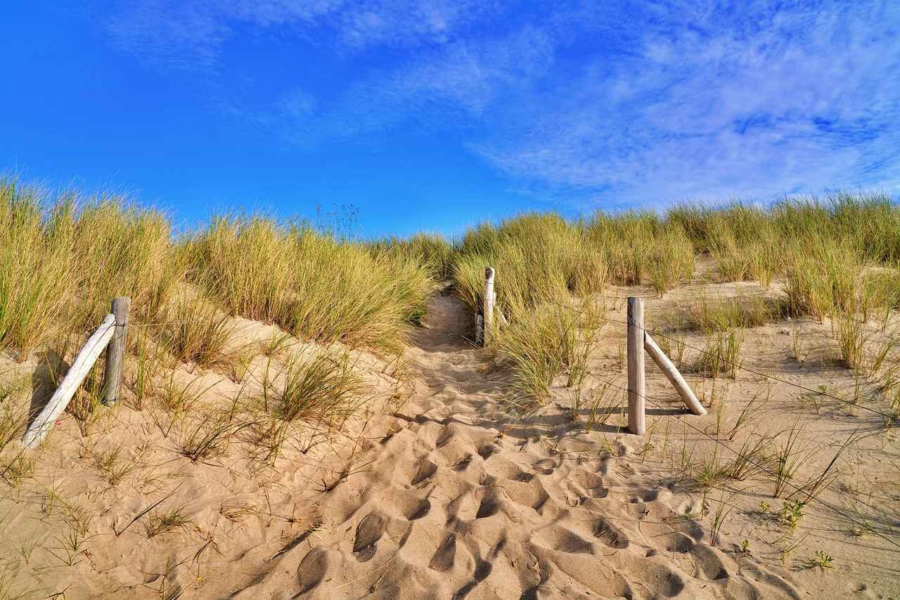 Unter welchen Bedingungen kann ein Vermieter einen Mieter kündigen? 4 Rechte des Mieters bei einer Kündigung