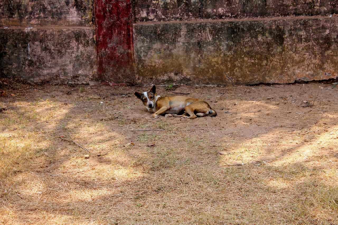 Was ist kostenlose rechtliche Unterstützung?