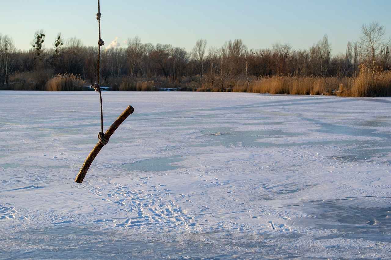 Was ist ein Pflegevertrag auf Lebenszeit? 2 Rechtliche Grundlagen des Pflegevertrags