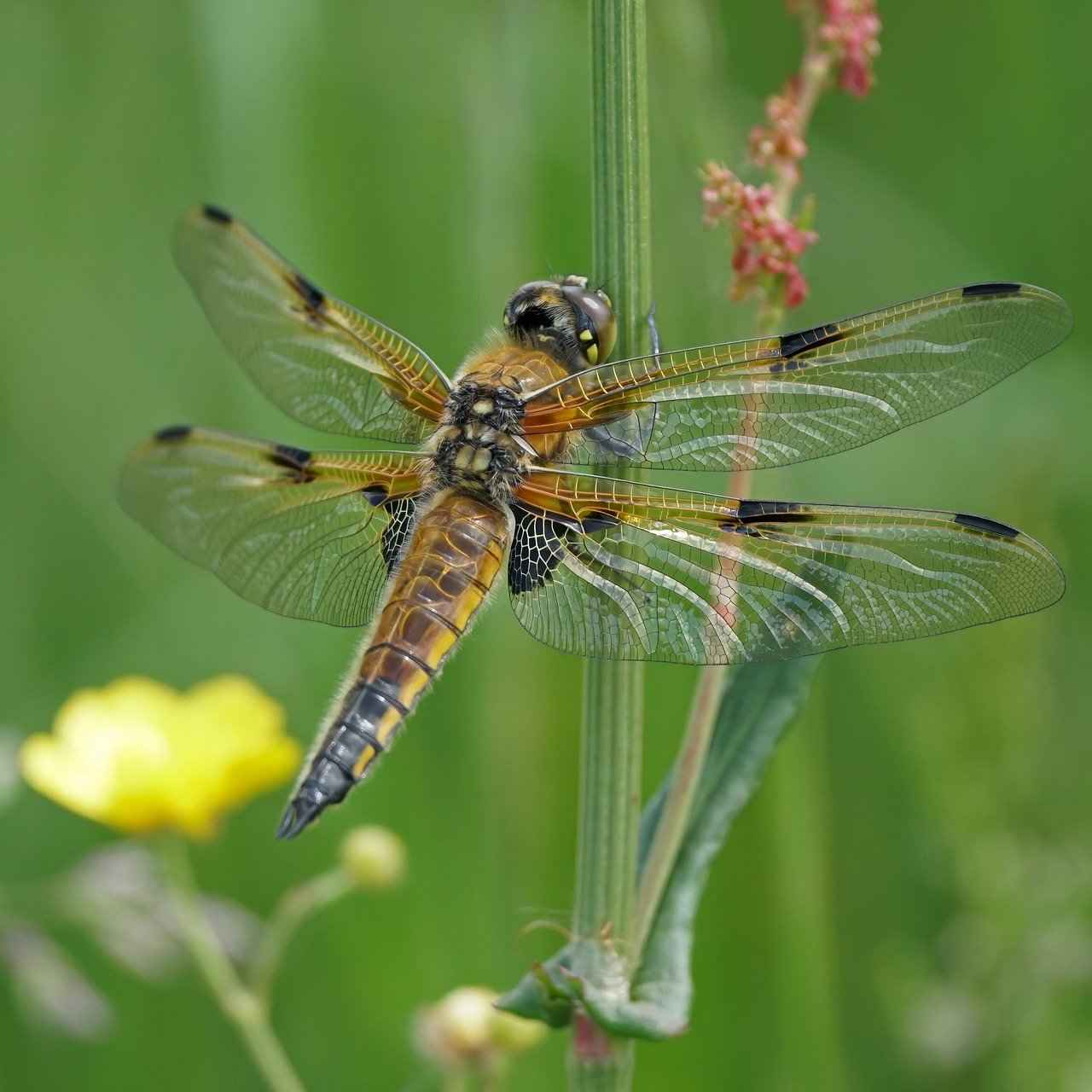 Was kann ich tun, um verleumderische oder beleidigende Inhalte im Internet entfernen zu lassen? Was kann ich tun, um verleumderische oder beleidigende Inhalte im Internet entfernen zu lassen?