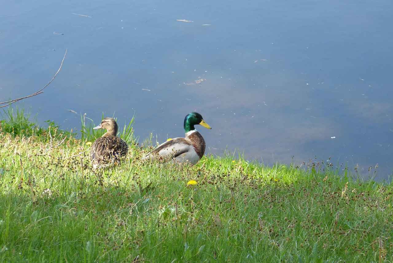 Was tun, wenn der Ehepartner die Scheidung nicht akzeptiert?