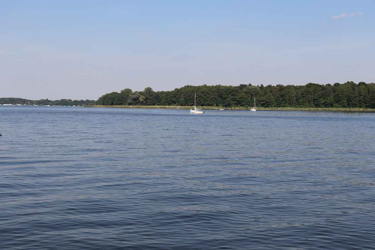 Fachliche Spezialisierung und Weiterbildung