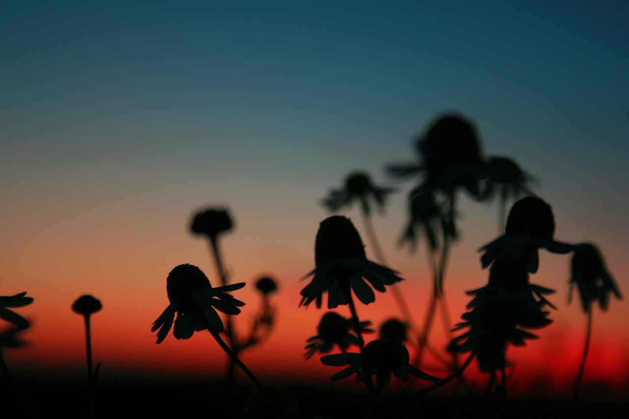 Rechte und Pflichten des Anzeigenerstatters