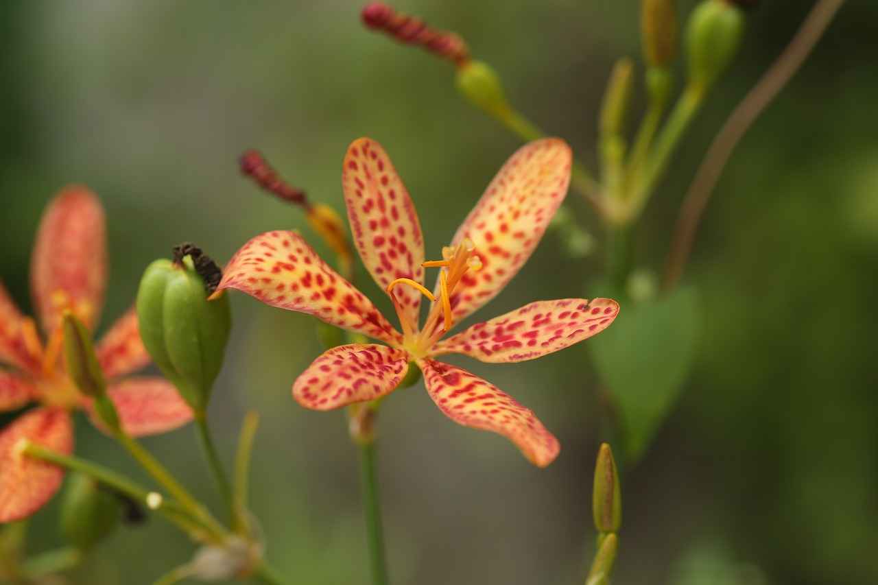 Strafrahmen und mögliche Strafen