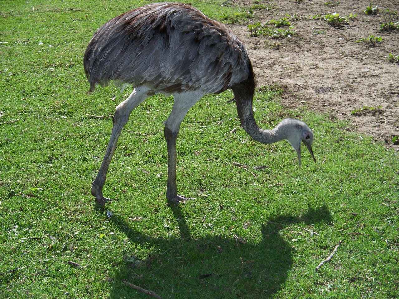 Tipps für einen erfolgreichen Umtausch