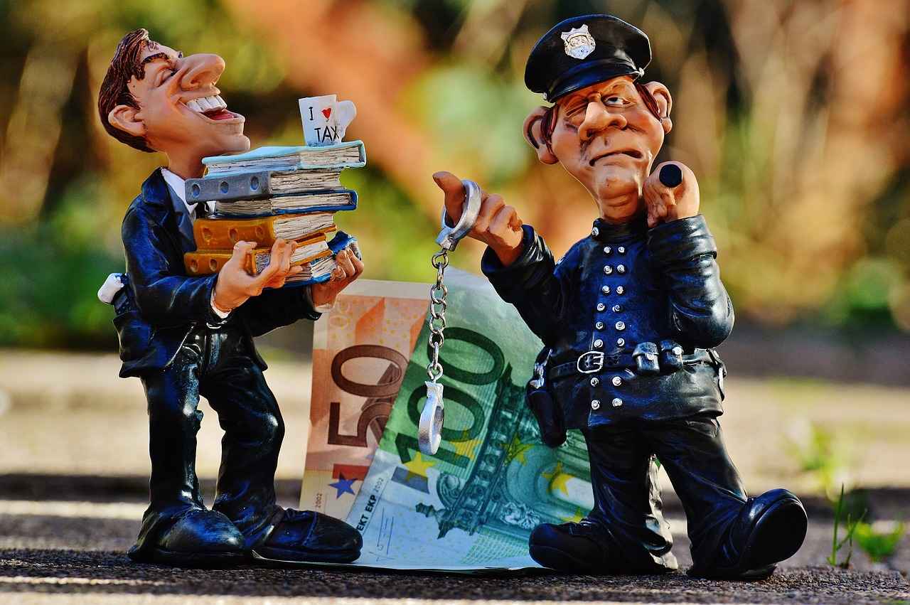 Die rechtlichen Grundlagen des Diebstahls