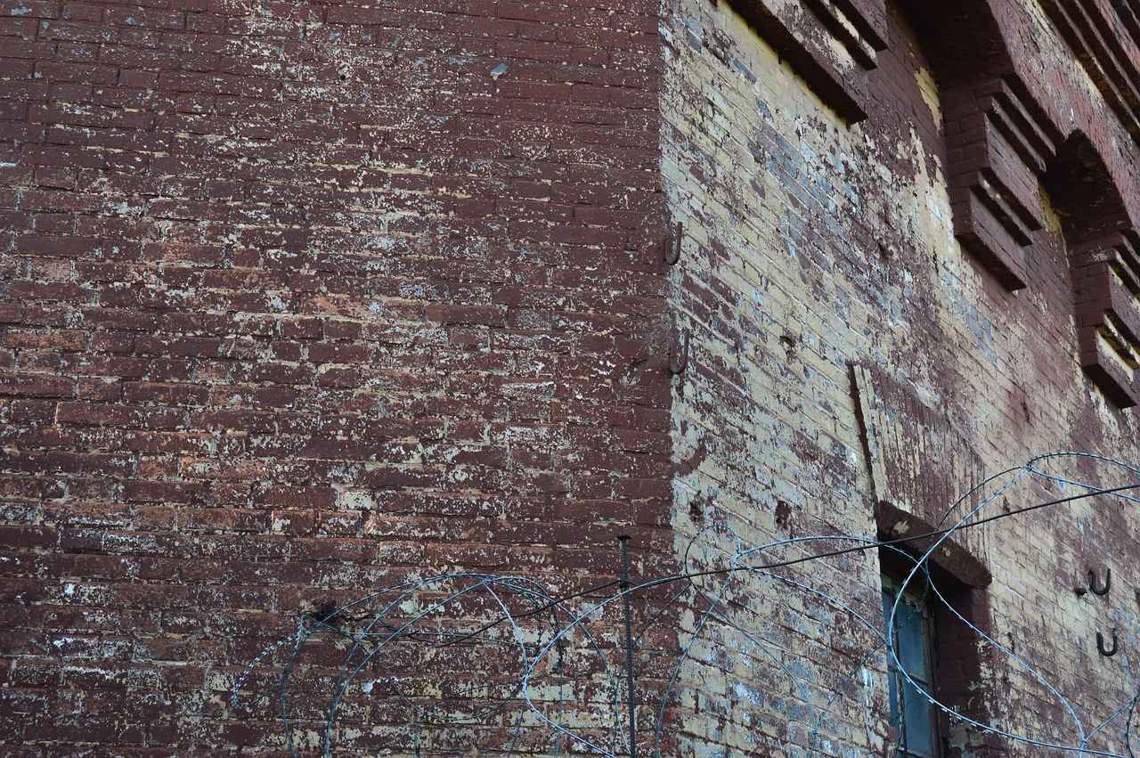 Was ist ein Führungszeugnis?