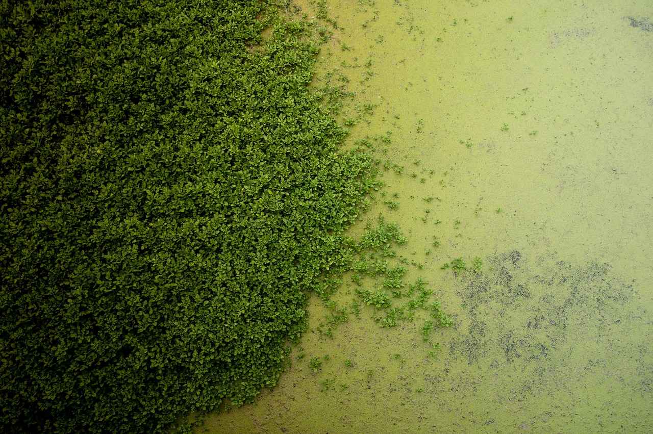 Welche alternativen Methoden zur Eintreibung von Forderungen gibt es?