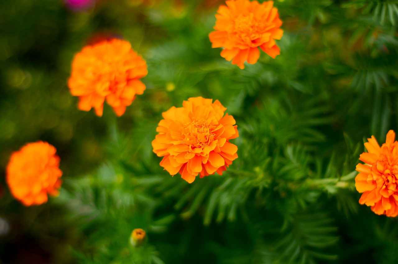 Wie beantrage ich eine Erhöhung des Unterhalts?