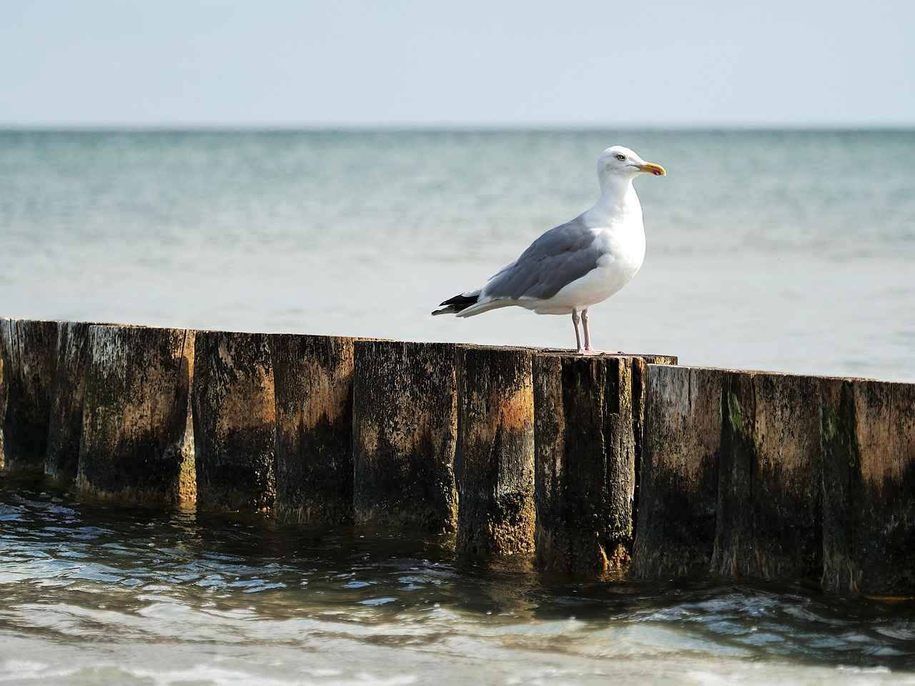Wie kann ich Fehler auf meiner Strom-, Wasser- oder Gasrechnung anfechten? 1 Erkennen von Fehlern auf der Rechnung