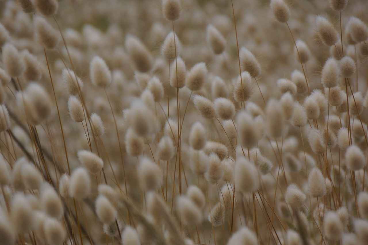 Wie kann ich mich vor Betrug beim Immobilienkauf schützen? Wie kann ich mich vor Betrug beim Immobilienkauf schützen?