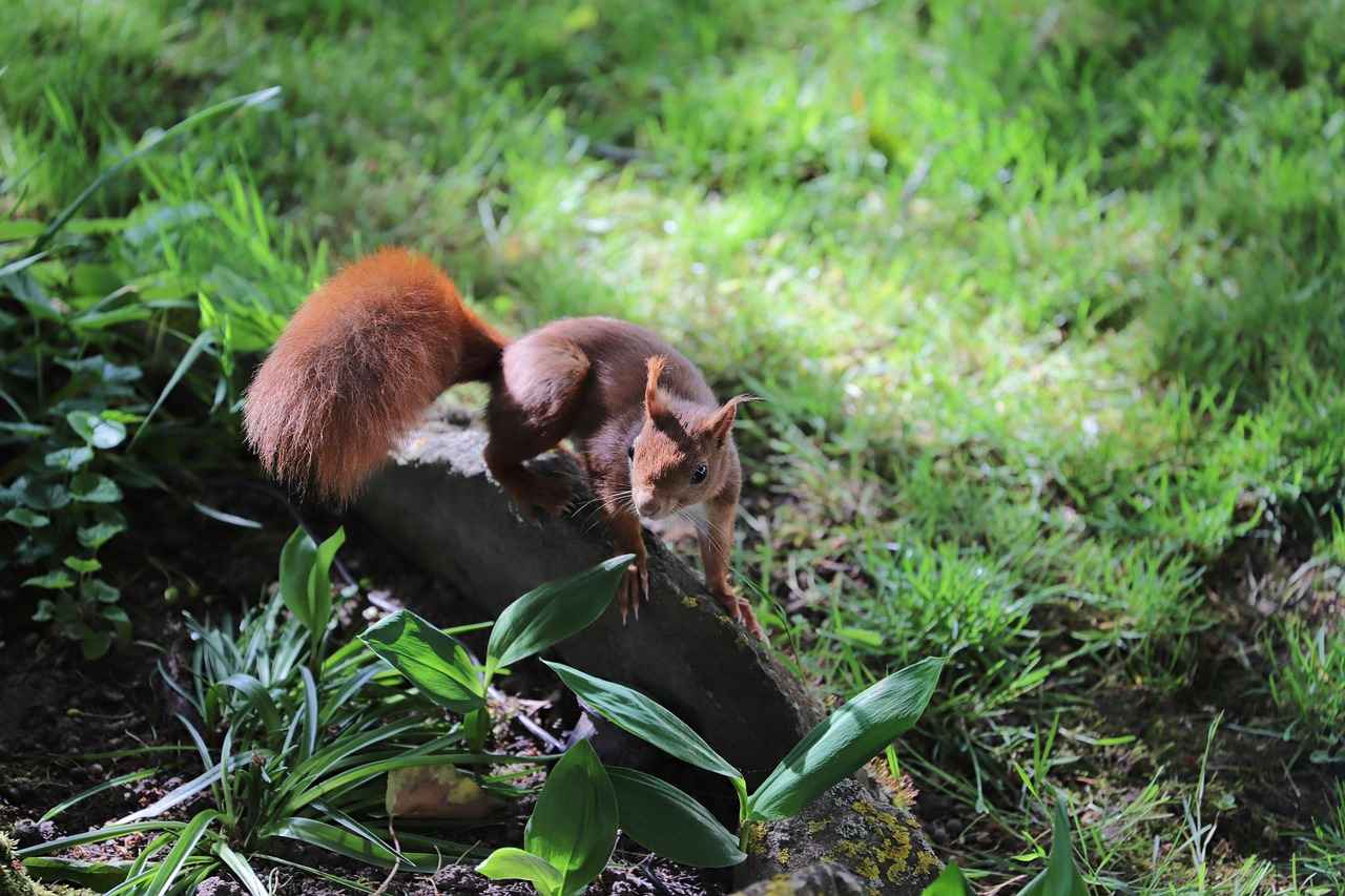 Fazit zur Einkünfteüberprüfung bei Unterhaltsberechnung