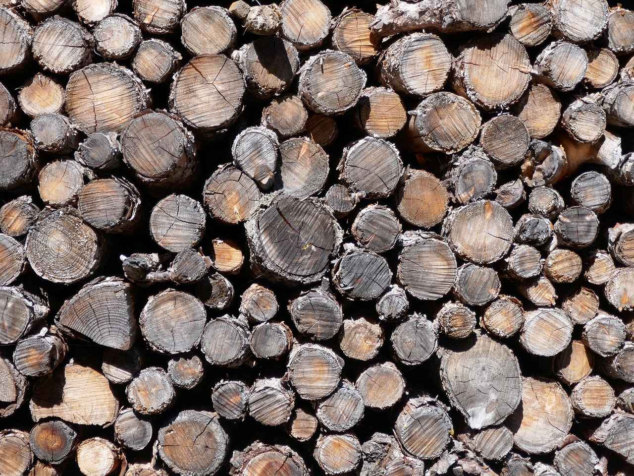 Die Rolle des Grundbuchamts