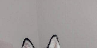 Kündigungsfrist Bei Minijob: Was Sie Wissen Müssen Für Ihren Job