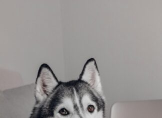 Kündigungsfrist Bei Minijob: Was Sie Wissen Müssen Für Ihren Job