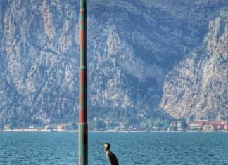 Fragen Im Bewerbungsgespräch: Was Arbeitgeber Wirklich Wissen Möchten