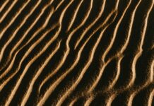 BGB 622: Wie Beeinflusst Es Ihre Vertragsrechte Und Pflichten?