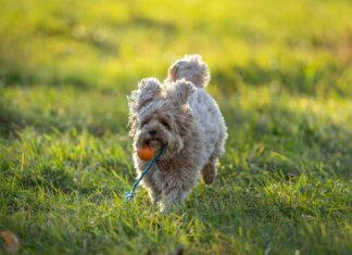 Nebentätigkeit: Entdecke Die Vorteile Für Deine Karriere!