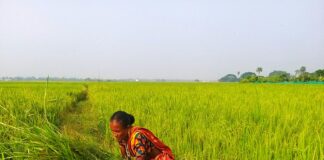 Düsseldorfer Tabelle 2024 Abzüglich Kindergeld: Was Bedeutet Das?