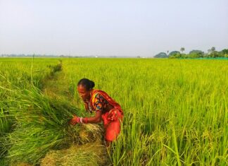 Düsseldorfer Tabelle 2024 Abzüglich Kindergeld: Was Bedeutet Das?