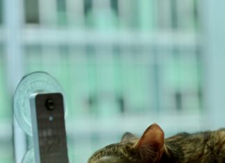 Kosten Scheidung: Was Sie Wissen Müssen Für Ihre Entscheidung