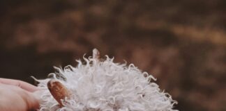 Elternzeit Verlängern: So Profitierst Du Von Mehr Zeit Mit Deinem Kind