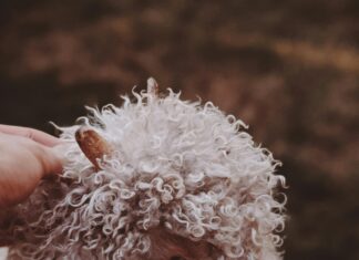 Elternzeit Verlängern: So Profitierst Du Von Mehr Zeit Mit Deinem Kind