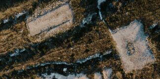 Aufhebungsvertrag Arbeitslosengeld: Wie Sie Ihre Ansprüche Maximieren