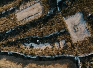 Aufhebungsvertrag Arbeitslosengeld: Wie Sie Ihre Ansprüche Maximieren