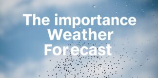 Die Bedeutung von Wettervorhersagen für das Marketing The importance of weather forecasts for marketing