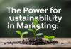Die Macht der Nachhaltigkeit im Marketing: Wie grüne Strategien Ihre Marke stärken The Power of Sustainability in Marketing: How Green Strategies Strengthen Your Brand