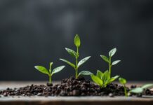 Nachhaltigkeit im Marketing: Warum es sich lohnt und wie Sie es umsetzen Sustainability in Marketing: Why it's worth it and how to implement it